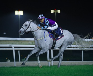 Bahrain Race Cards 26 February evening meeting schedule at Bahrain Turf Club