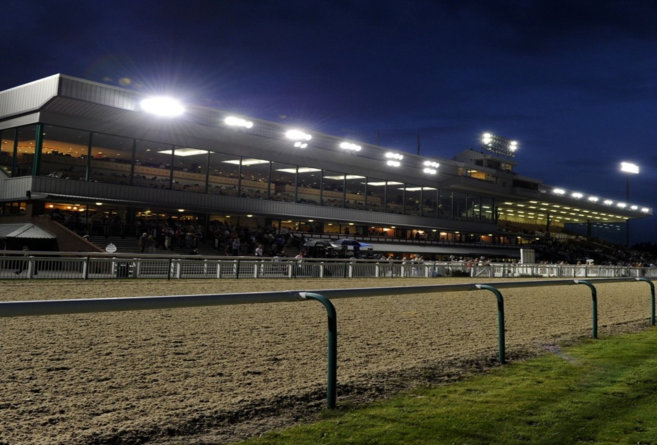 Wolverhampton Racecards 6 February Friday Tapeta racing action