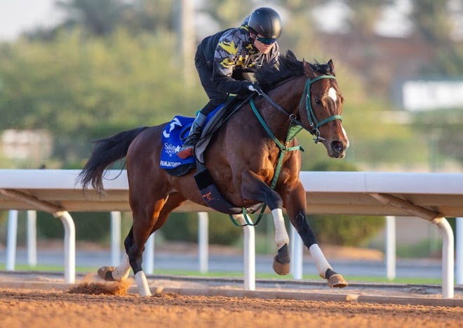 Panja Tower training ahead of the 1351 Turf Sprint in Riyadh