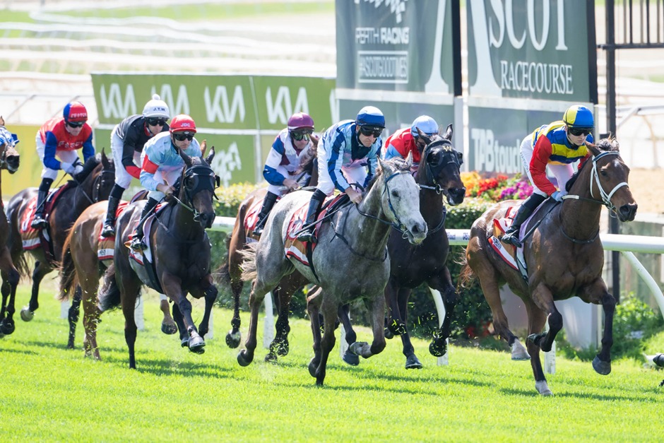 Ascot Racecards 15 February at Ascot Racecourse on Challenge Stakes Day