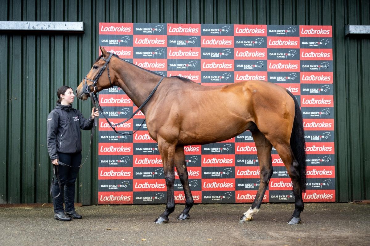 Dan Skelton Cheltenham Gold Cup