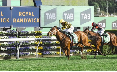 Australia Race Cards Friday 27 February at Canterbury Park