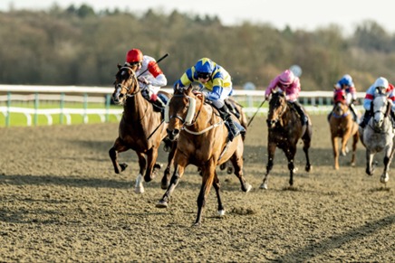 Lingfield Park Race Cards 27 February all-weather racing action