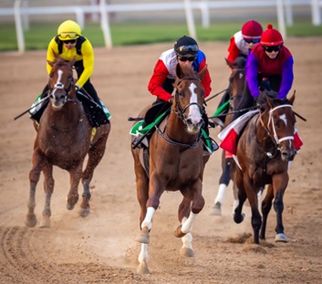 Abu Dhabi Race Cards 27 February seven-race meeting at Abu Dhabi Turf Club