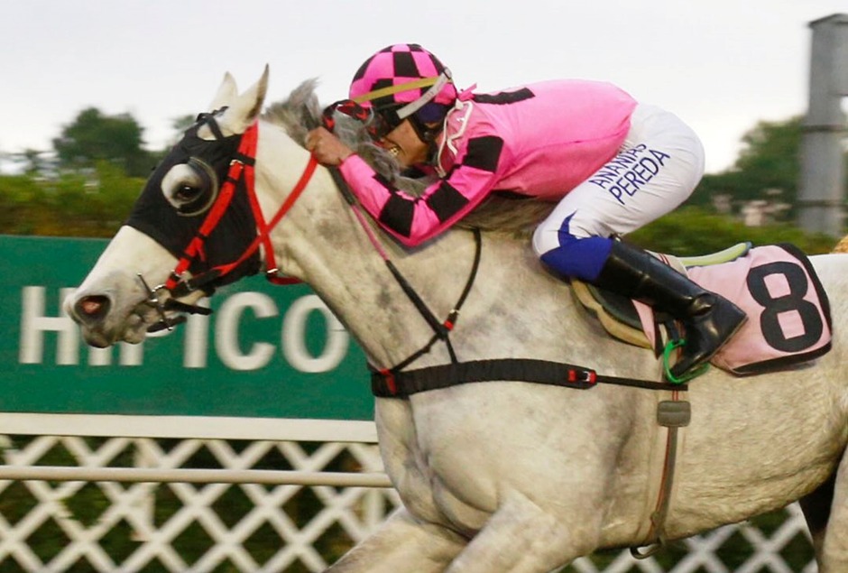 Concepción Racecards 10 February at Club Hípico de Concepción