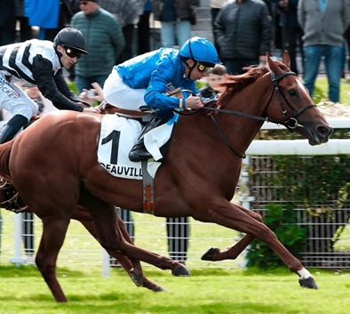 Horses lined up for Chantilly Race Cards 13 February at the starting gate