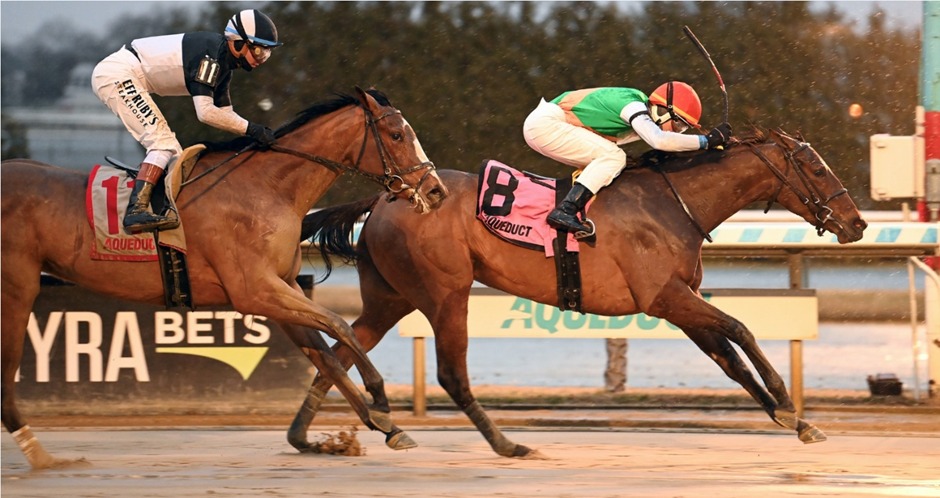 Aqueduct Racecards 4 February featuring NYRA midweek racing