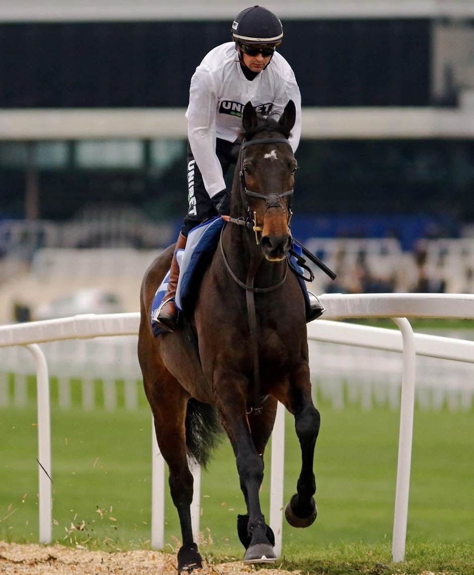 Newbury Racecards 27 February feature race preview at Newbury