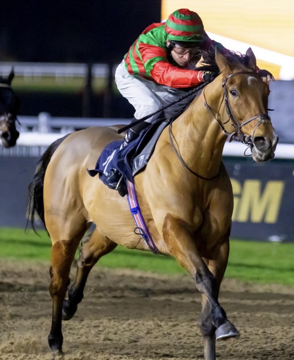 Wolverhampton Race cards 27 February runners at Dunstall Park