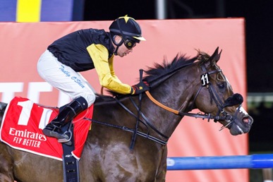 Meydan Race Cards 28 February night meeting at Meydan Racecourse Dubai