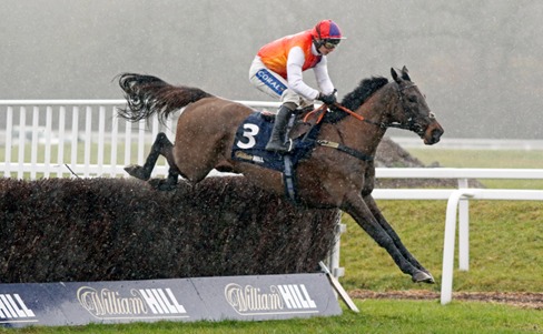 Newbury Race Cards 28 February future race preview at Newbury