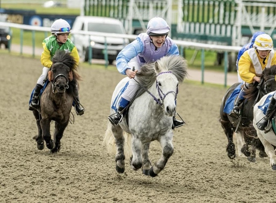 Lingfield Park Racecards 28 February – Spring Cup Stakes runners on track
