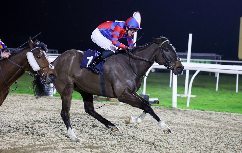 Newcastle Racecards 10 February floodlit racing at Newcastle Racecourse