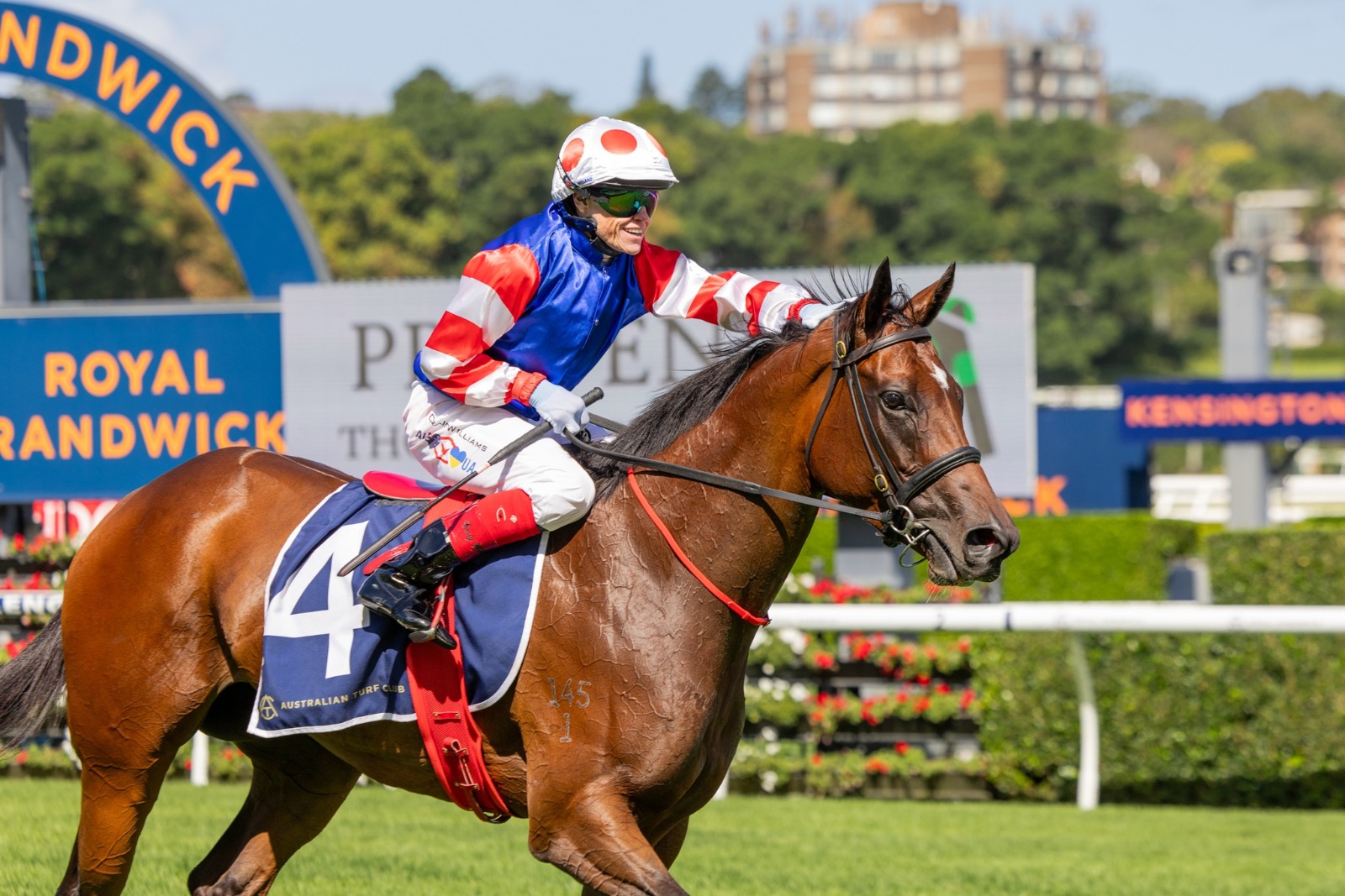 Winx Snitzel colt withdrawn from Easter Yearling Sale at Riverside Stables