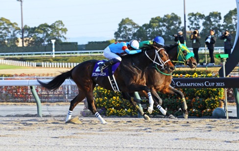 Horses competing during Hanshin Race Cards 1 March at Hanshin Racecourse in Japan