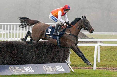 Newbury Race Cards 17 February runners competing at Newbury Racecourse