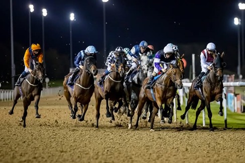 Horses racing at Wolverhampton Race Cards 6 February