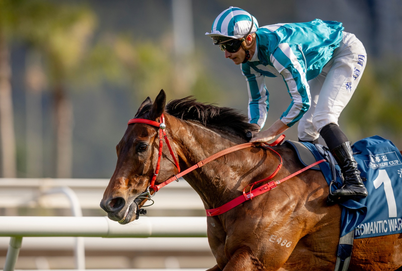 Romantic Warrior racing at Sha Tin ahead of G1 Citi Hong Kong Gold Cup
