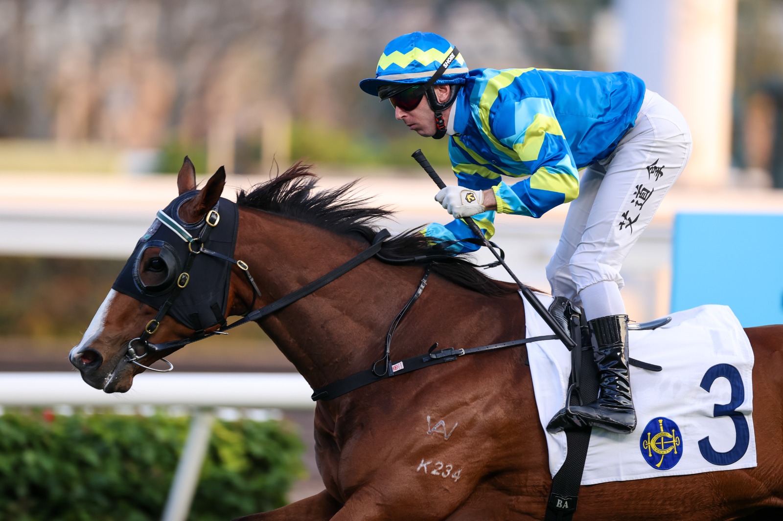 Akashvani competing at Sha Tin in preparation for Hong Kong Classic Cup