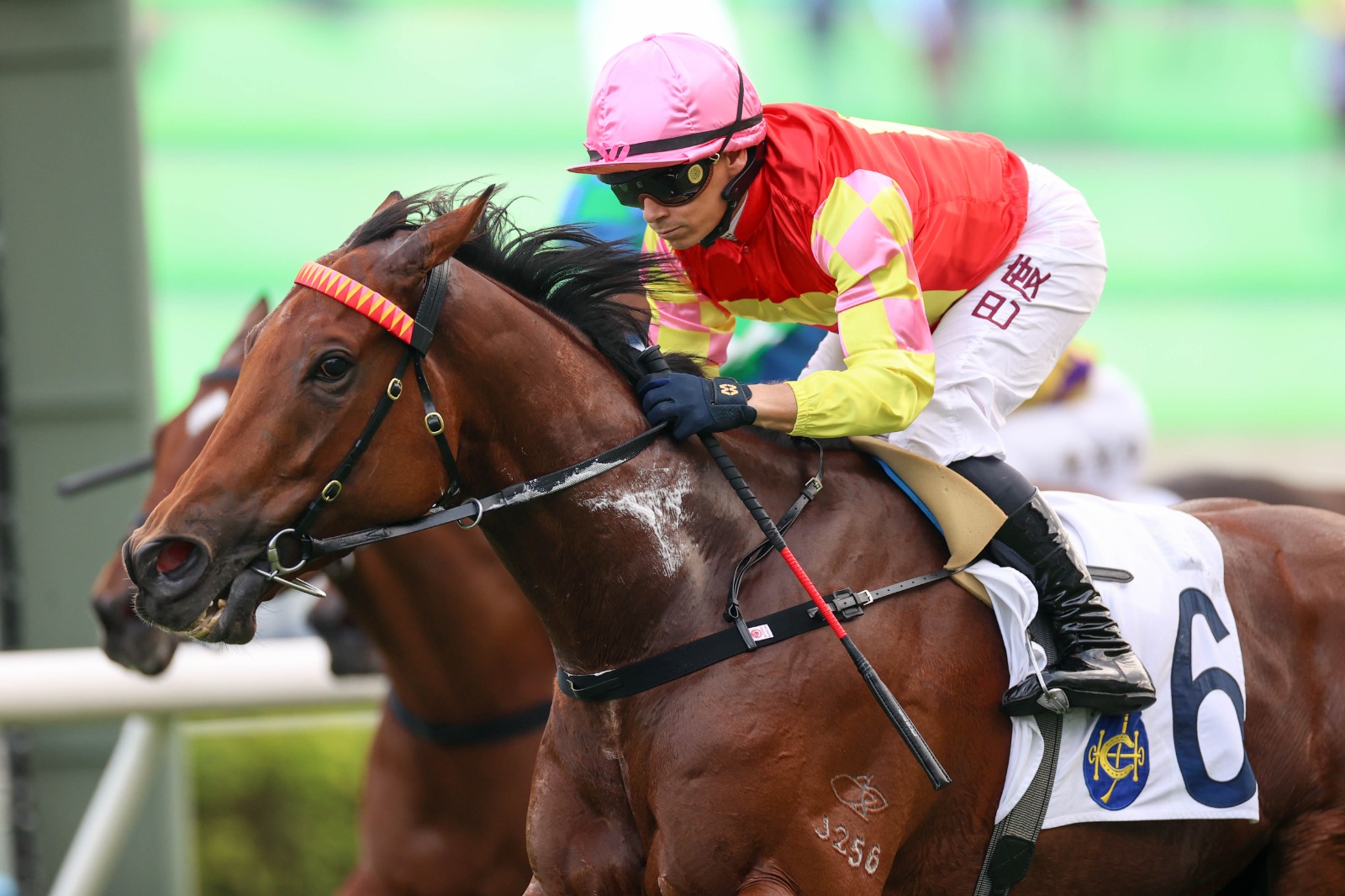 Romantic Warrior competing in the HK$13 million Gold Cup at Sha Tin