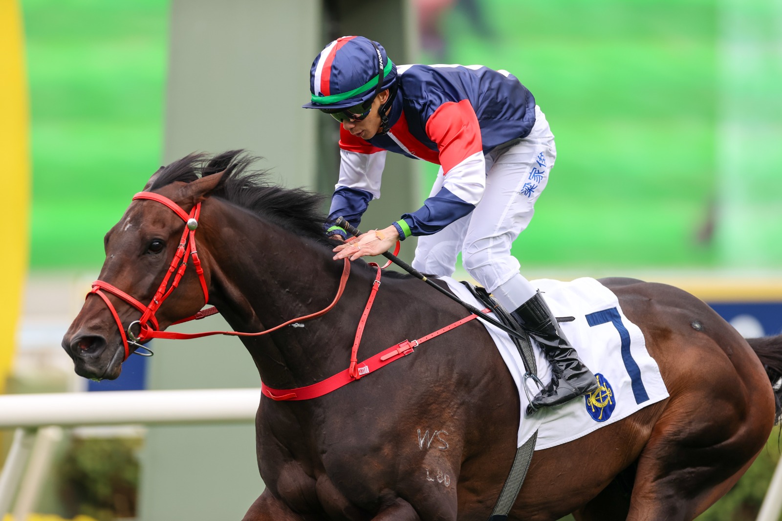 Numbers winning at Sha Tin ahead of the Hong Kong Classic Cup