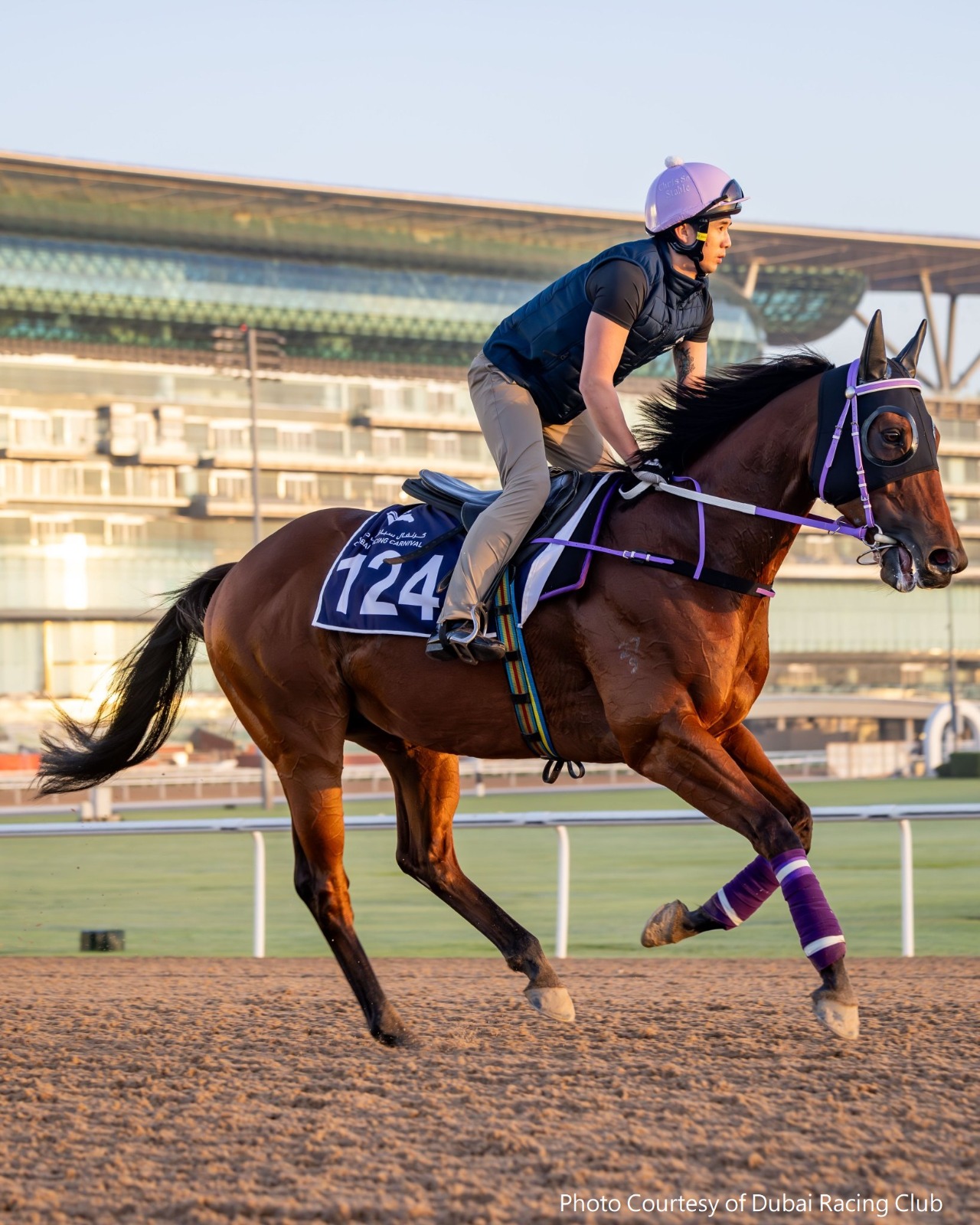 Sing Dragon G3 Mahab Al Shimaal