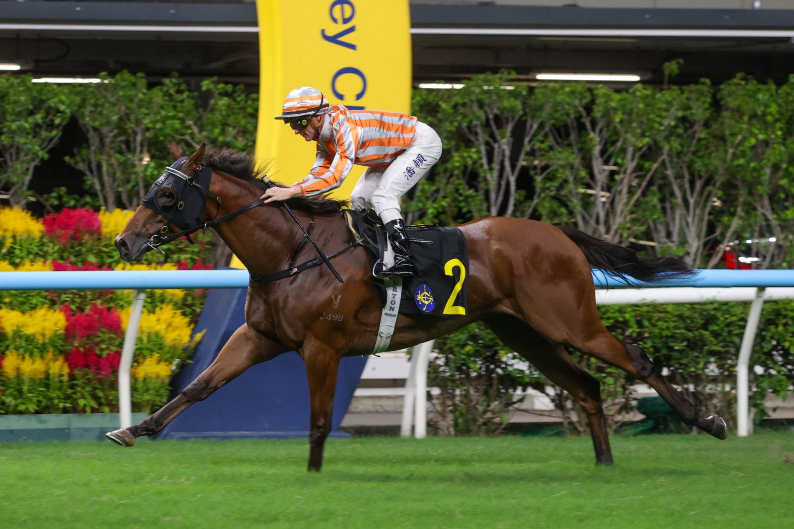 David Hayes title chase continues at Happy Valley
