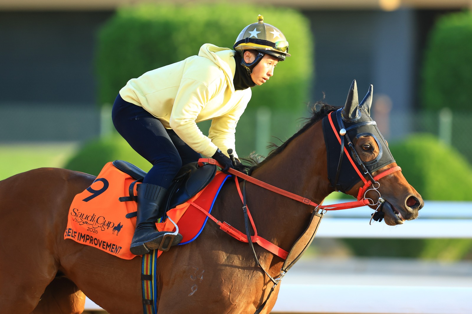 Jerry Chau riding Self Improvement ahead of the Riyadh Dirt Sprint in Riyadh