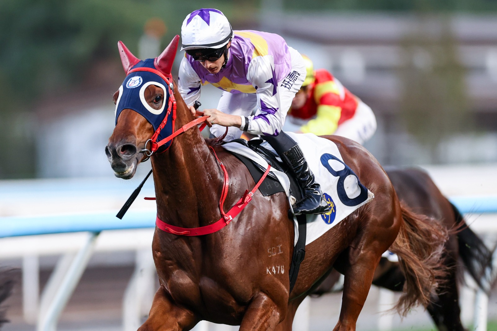 Stormy Grove finishing strongly at Sha Tin before the Hong Kong Classic Cup