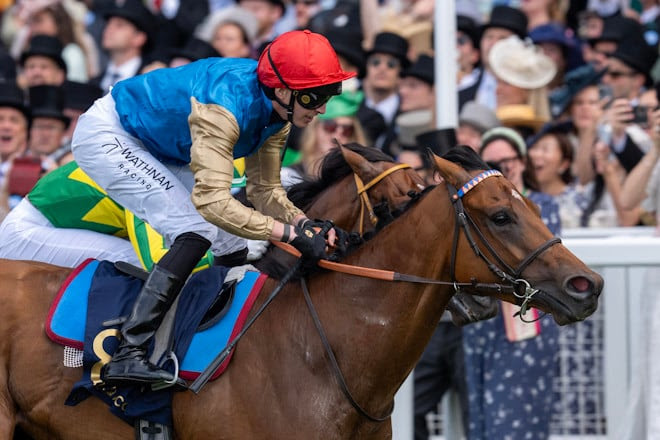 Saudi Cup contender Lazzat trained by Jérôme Reynier in France