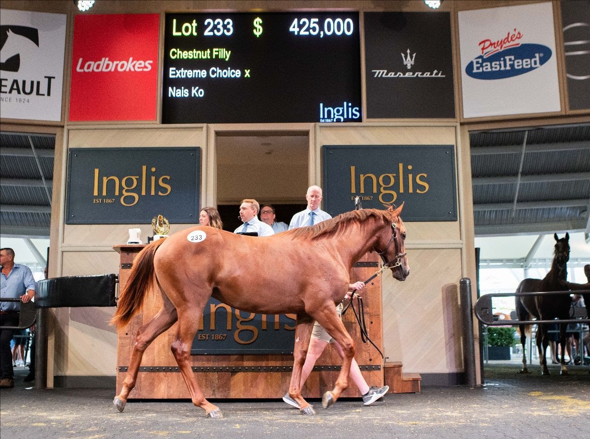 Extreme Choice x Nais Ko filly tops Classic Yearling Sale Day 1
