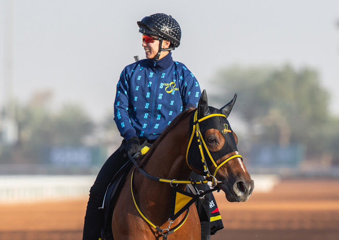 Banishing breezes during Saudi Cup trackwork at King Abdulaziz Racecourse