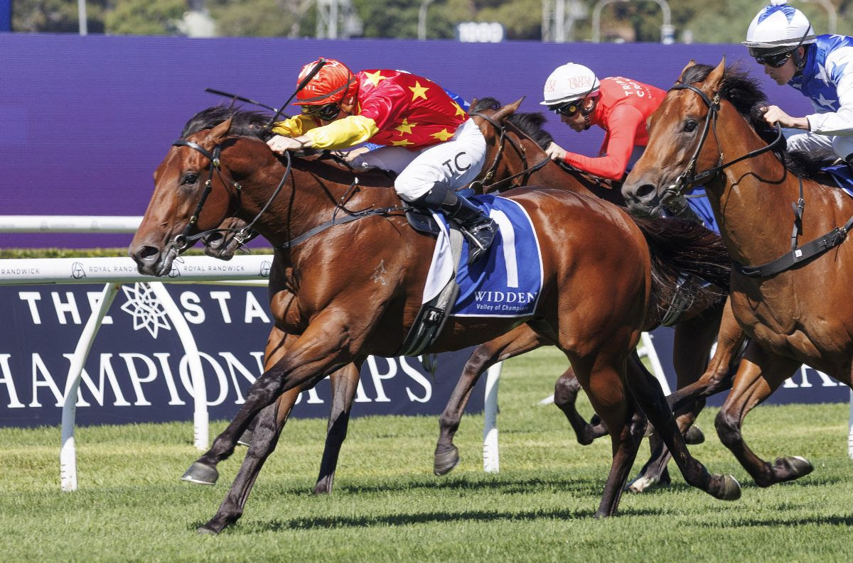 Anamoe yearling at Inglis Digital February Sale