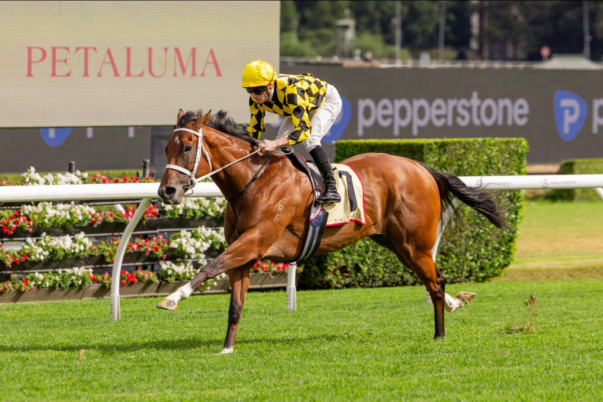 Autumn Glow surging clear to win the Apollo Stakes at Randwick