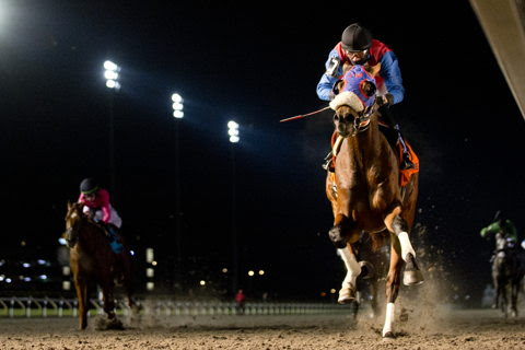 Fire and Wine winning the Coronation Futurity Stakes at Woodbine Racetrack
