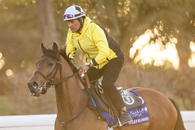 Group 2 1351 Turf Sprint in morning gallops at King Abdulaziz Racecourse