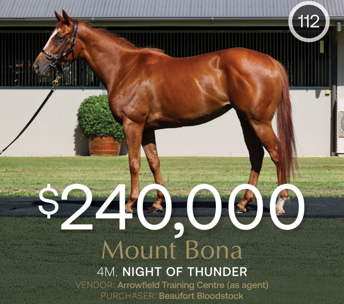 Mount Bona tops the Inglis Digital February Sale