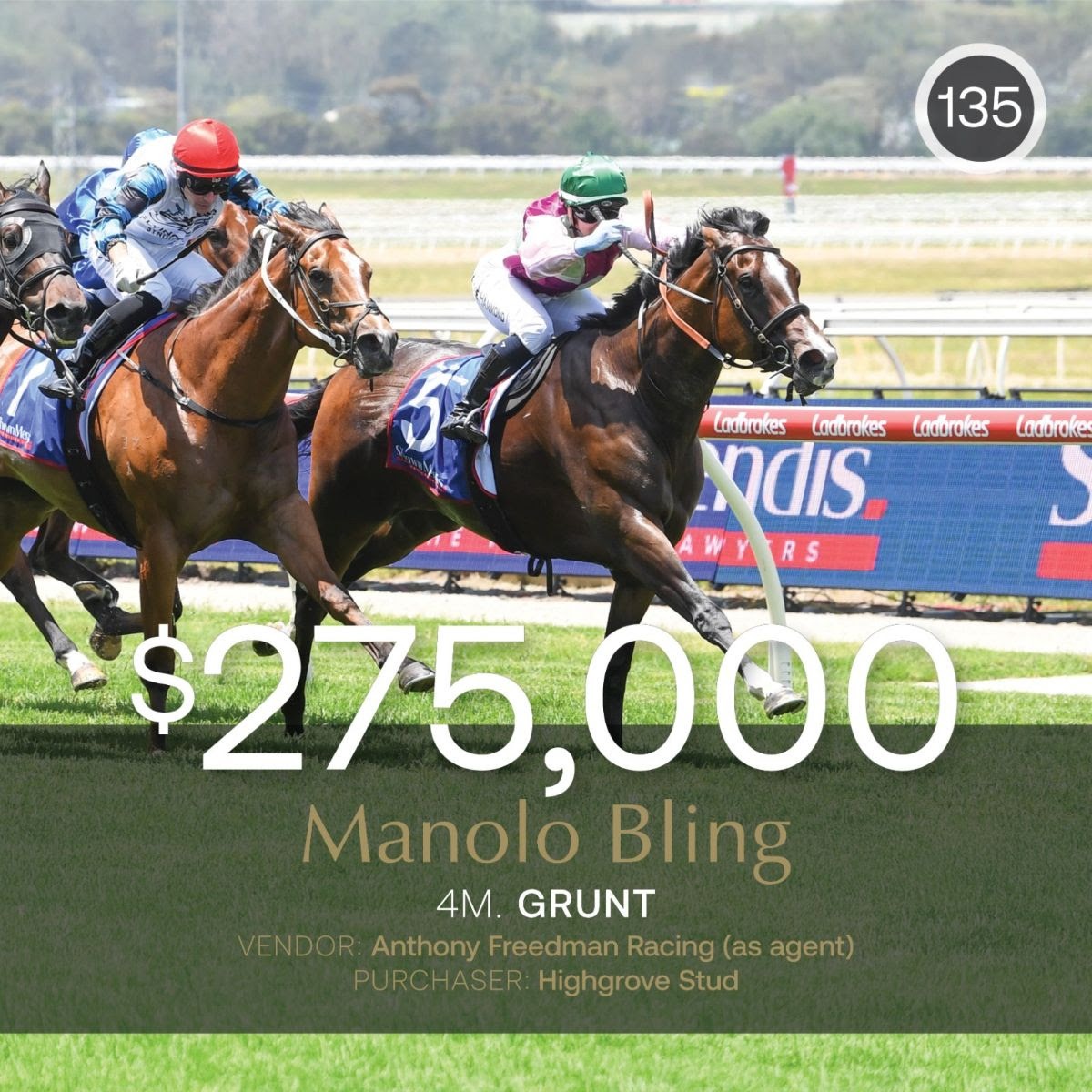 Manolo Bling after winning on racetrack before topping Inglis Digital February Sale