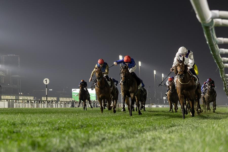 Dividend winning at the Dubai Racing Carnival
