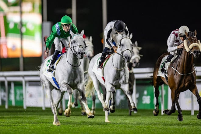 Nabucco Al Maury returns to Riyadh for the Al Mneefah Cup