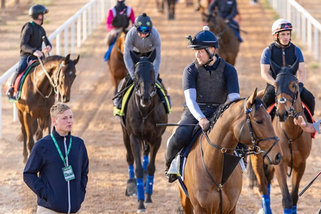 Survie (IRE) preparing for the Neom Turf Cup