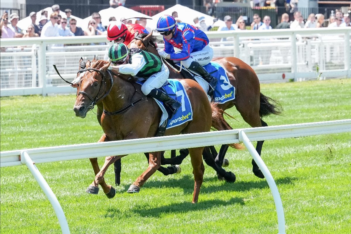 Closer To Free winning the Blue Diamond Prelude during the Inglis graduates juvenile sweep