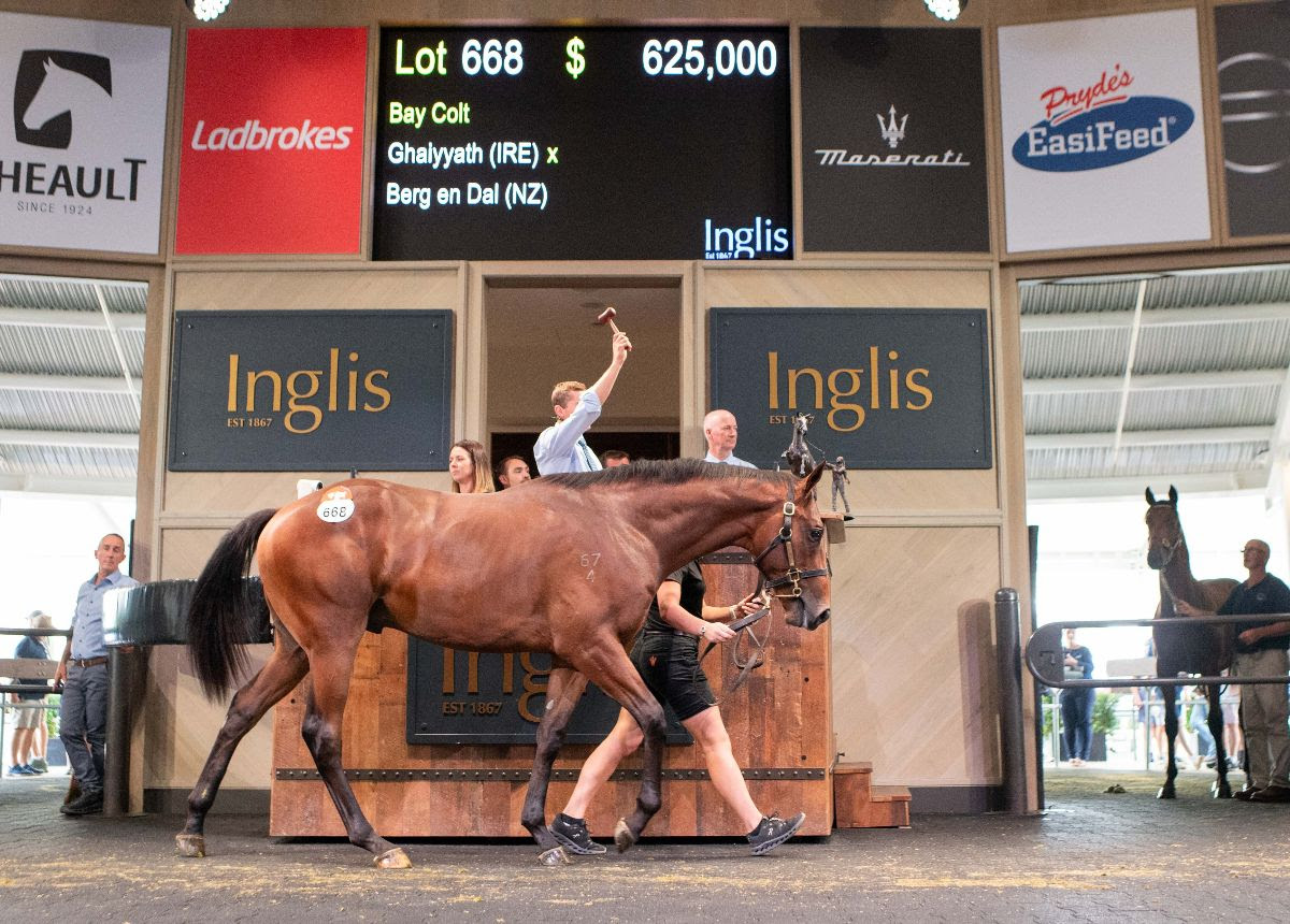 $625,000 Ghaiyyath colt topping the Inglis Classic Yearling Sale at Riverside