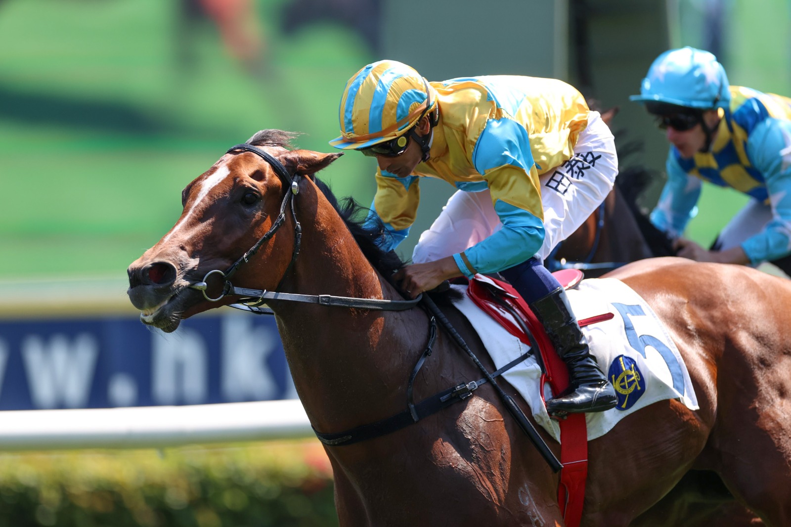 Karis Teetan celebrates victory during Hong Kong race results 15 March at Sha Tin
