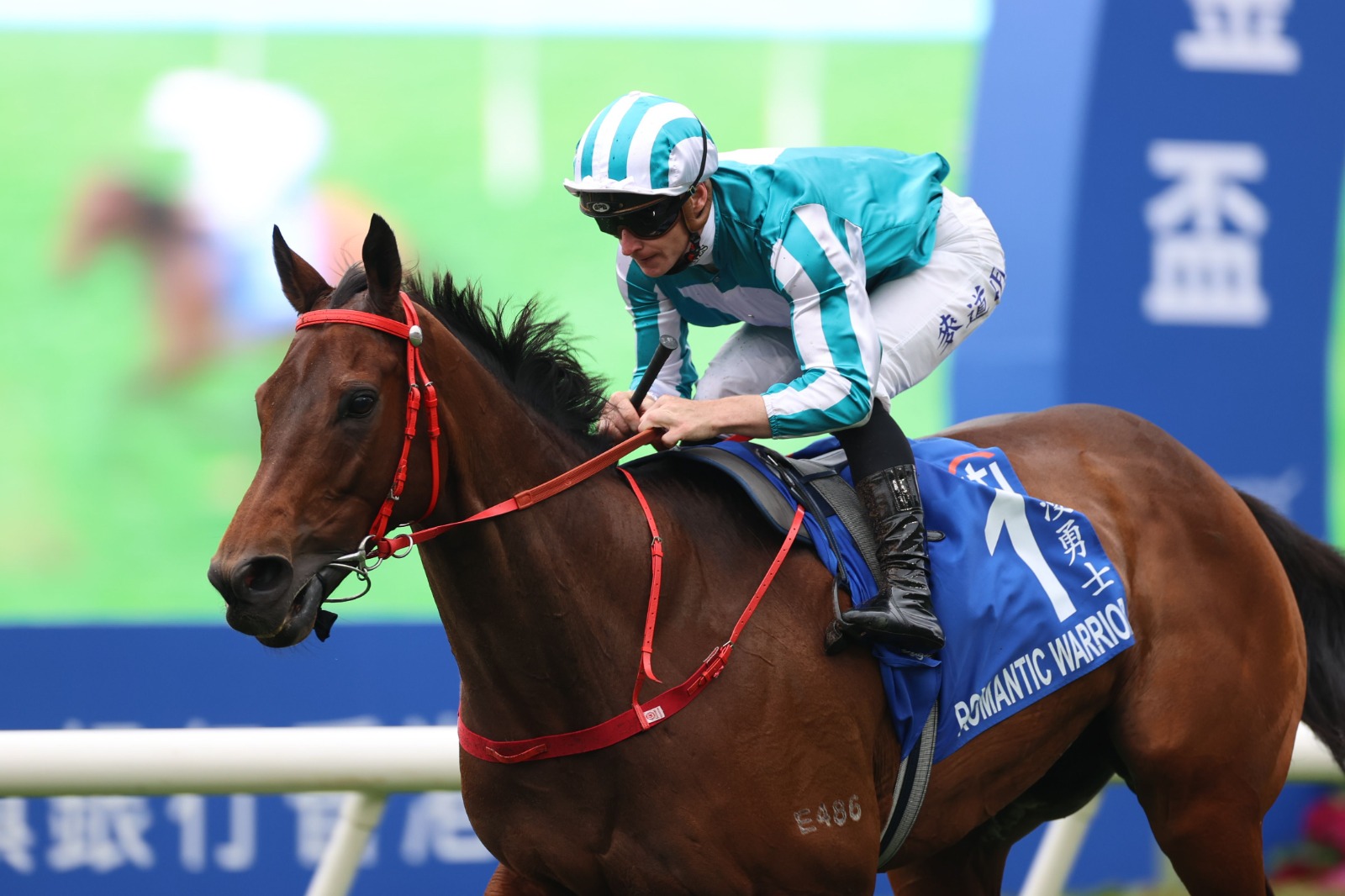 Romantic Warrior winning the HK$13 million Citi Hong Kong Gold Cup at Sha Tin