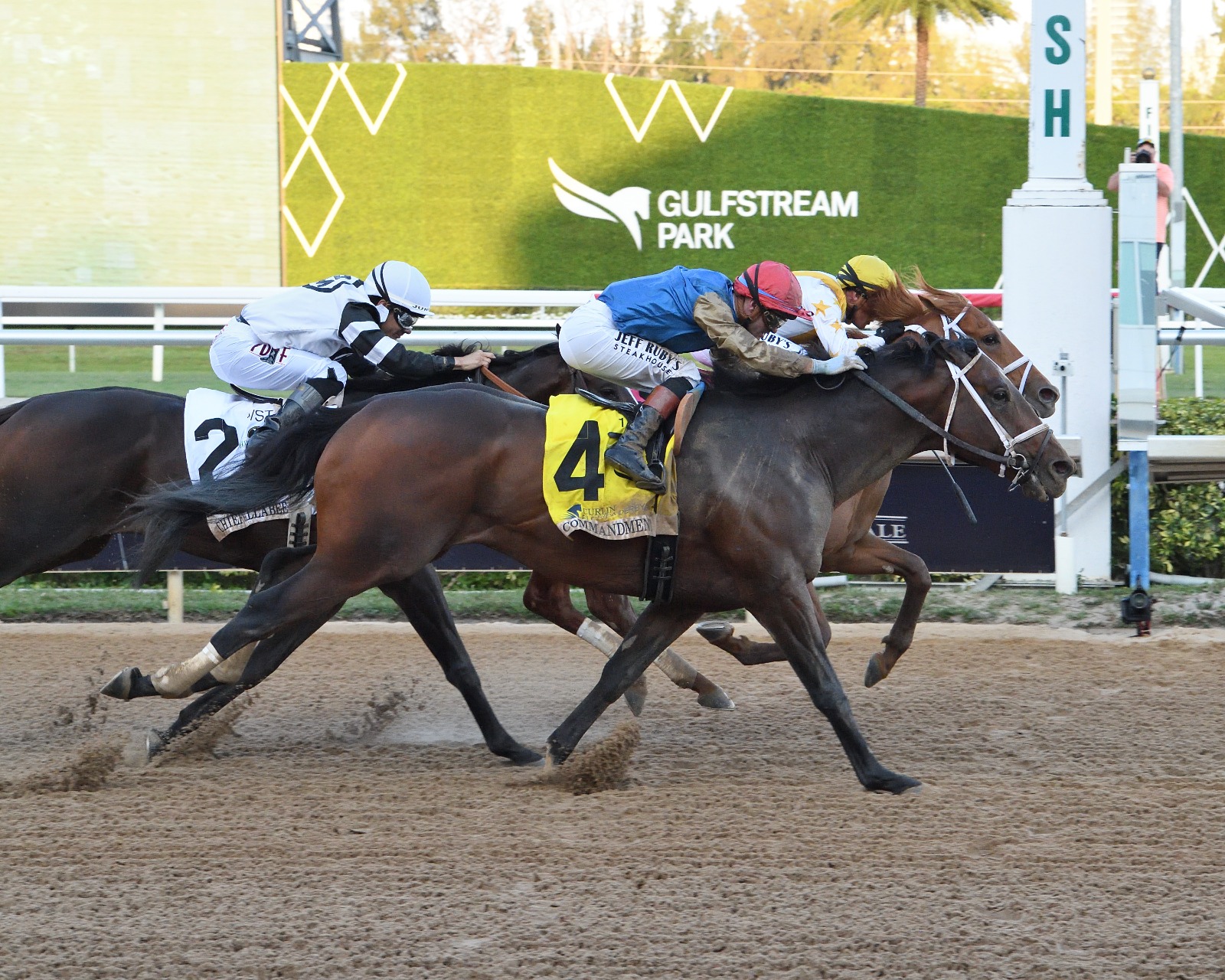 Commandment surges late to win Curlin Florida Derby (G1) at Gulfstream Park