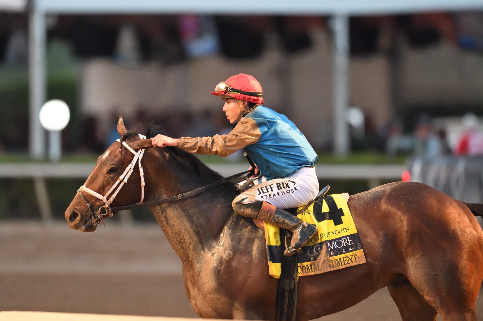 Commandment and Irad Ortiz Jr winning the Coolmore Fountain of Youth at Gulfstream Park