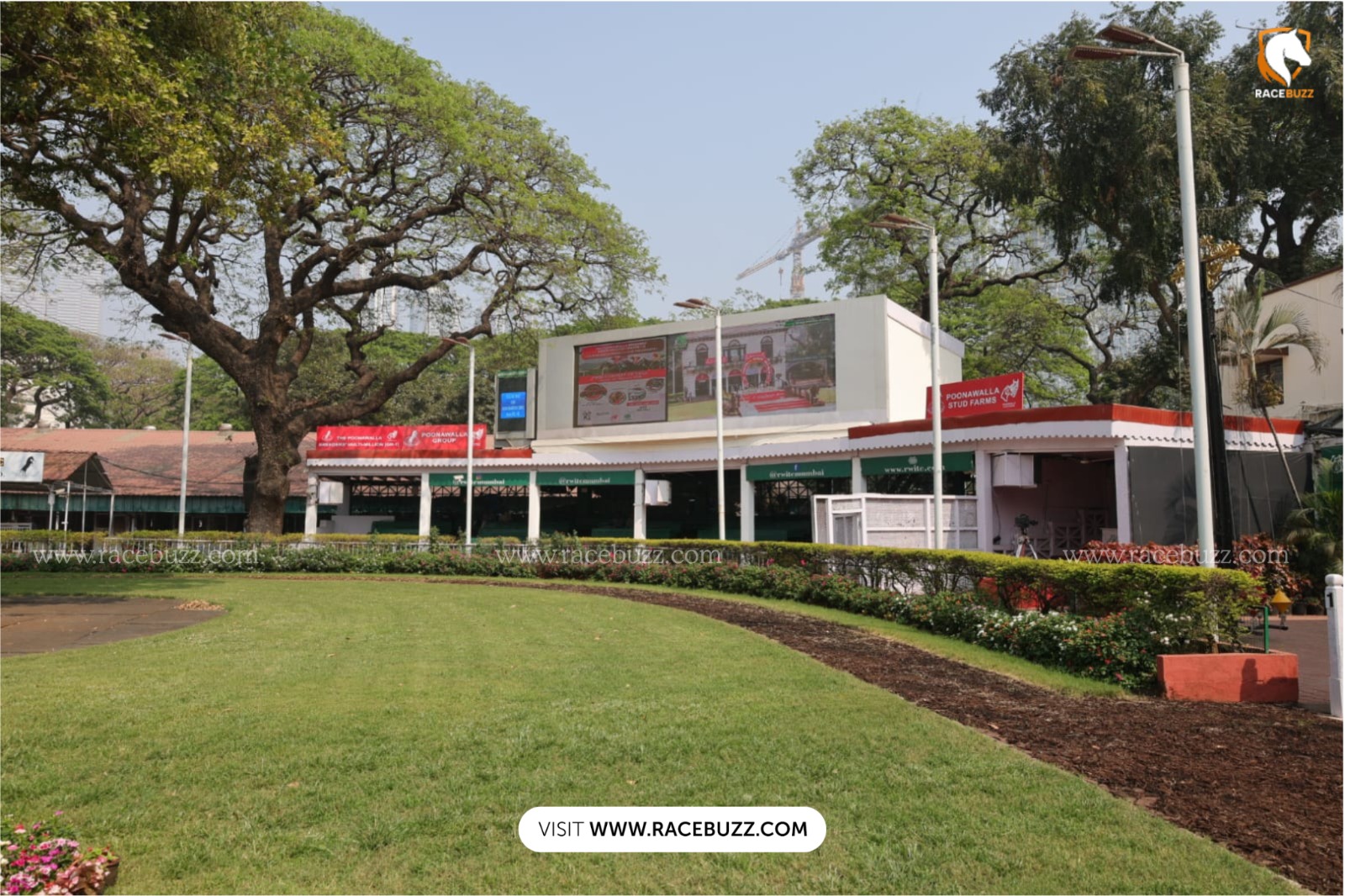 Mumbai Race Cards 15 March at Mahalaxmi featuring Poonawalla Stud Farms Auction Sale Stakes