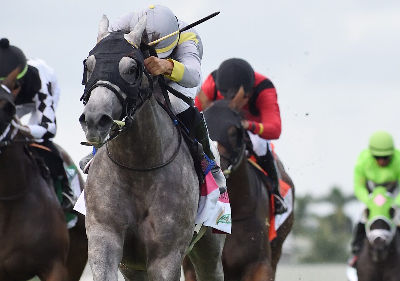 Lennilu returns in the Melody of Colors Stakes at Gulfstream Park