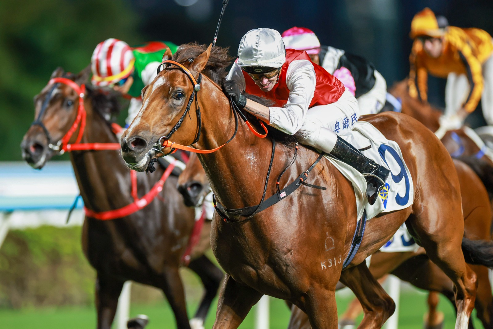 Pope Cody racing during the Hong Kong Classic Cup ahead of BMW Hong Kong Derby hopes